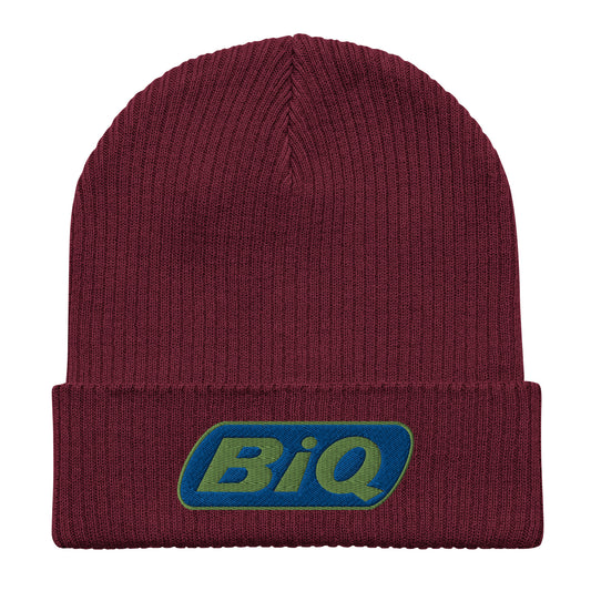 Biq Embroidered Beanie